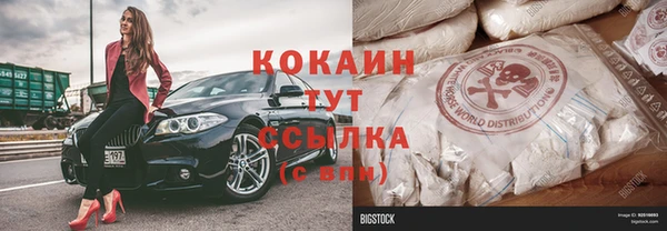 ГАЛЛЮЦИНОГЕННЫЕ ГРИБЫ Арсеньев