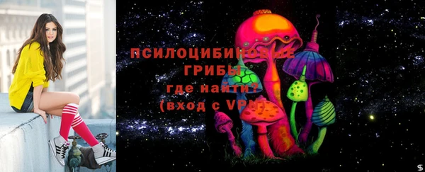 ГАЛЛЮЦИНОГЕННЫЕ ГРИБЫ Арсеньев