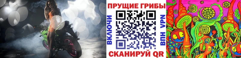 Псилоцибиновые грибы GOLDEN TEACHER  Купить где  Североуральск 